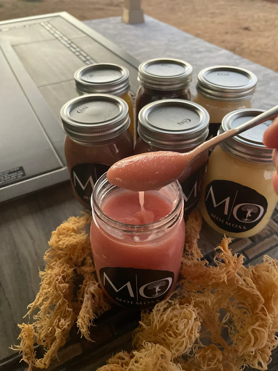 Organic Sea Moss and Its Role in Immune Support