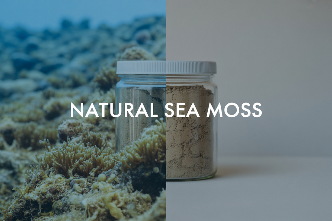 What Makes True Sea Moss Different from Regular Sea Moss Supplements?